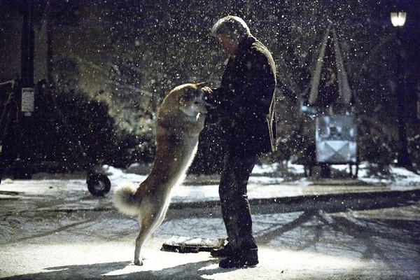 “Hachiko a dog’s story”: câu chuyện cảm động về tình bạn 1