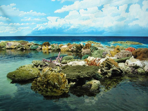 Ngây ngất với cảnh đẹp của những địa điểm lặn biển tuyệt nhất thế giới 12