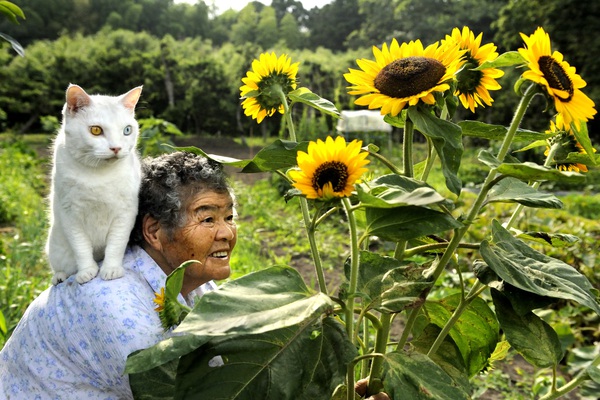 Ihara Misao