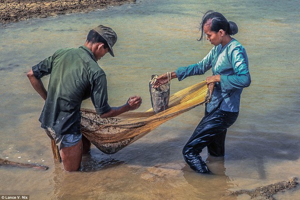 chiến tranh Việt Nam