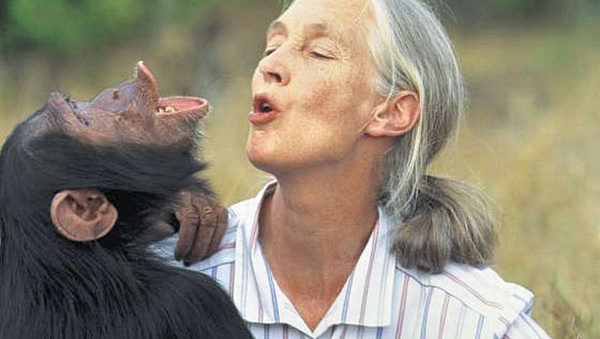 Jane Goodall