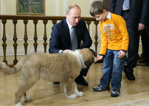 Tổng thống Putin