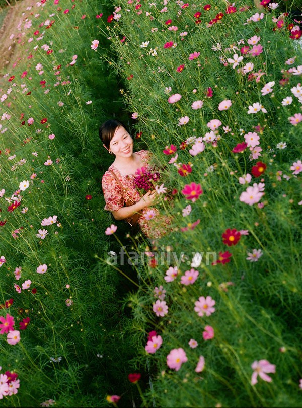 Đi chơi sớm ở 3 vườn hoa tuyệt đẹp tại Hà Nội 7