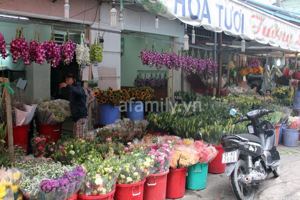 Những "thiên đường hoa" bậc nhất Việt Nam 10