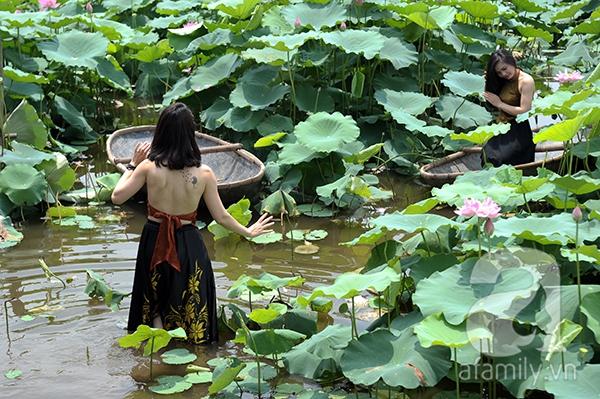 áo yếm lưng trần