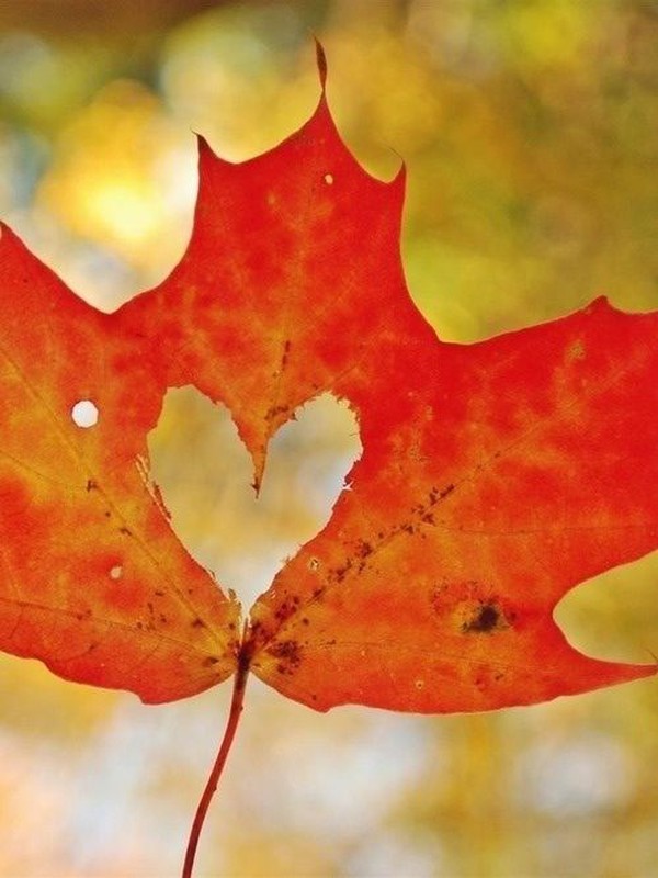 dựb&aacute;oth&aacute;ng