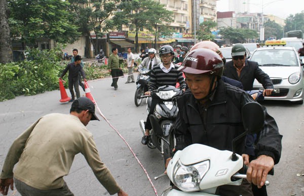 Đốn hạ hàng xà cừ cổ thụ trên đường Nguyễn Trãi, người Thủ đô nuối tiếc  4