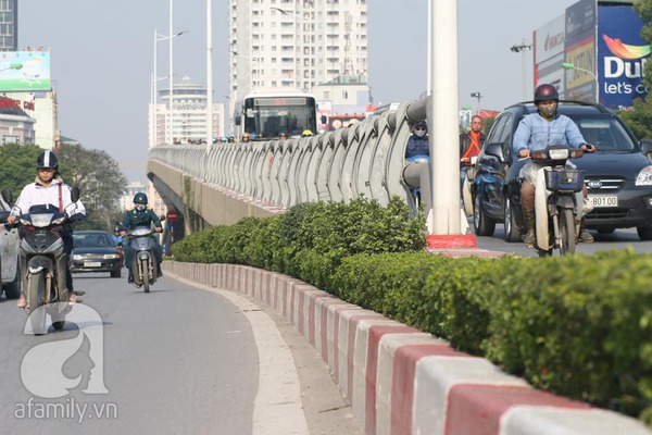 Hà Nội: Gầm cầu bê tông sắp được phủ xanh với cây vẩy ốc 4