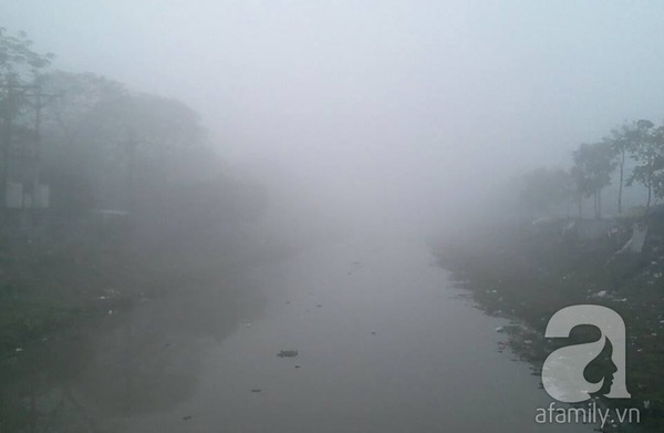 Thanh Hóa: Sương mù dày đặc, xe cộ phải bật đèn pha giữa ban ngày 4