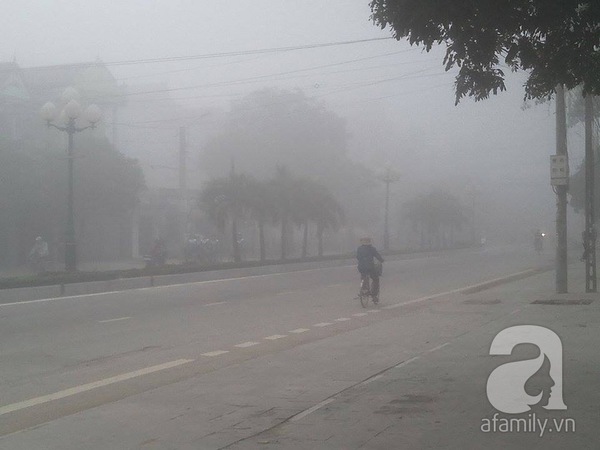 Thanh Hóa: Sương mù dày đặc, xe cộ phải bật đèn pha giữa ban ngày 6