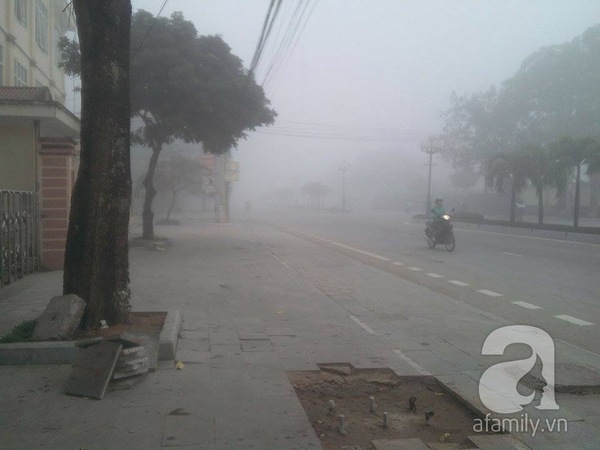 Thanh Hóa: Sương mù dày đặc, xe cộ phải bật đèn pha giữa ban ngày 2
