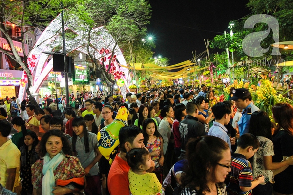 Pháo hoa rực sáng bầu trời chào đón năm mới Ất Mùi 2015 21 Pháo hoa rực sáng bầu trời chào đón năm mới Ất Mùi 2015 21