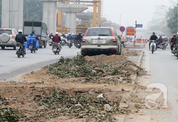 Chặt hết cây cổ thụ, nhiều người qua đường Nguyễn Trãi - Trần Phú tưởng bị lạc 4