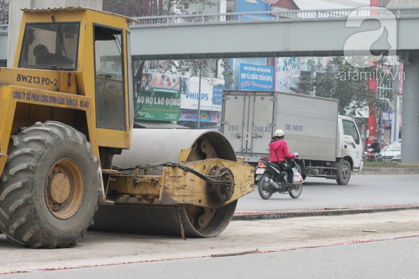 Chặt hết cây cổ thụ, nhiều người qua đường Nguyễn Trãi - Trần Phú tưởng bị lạc 8