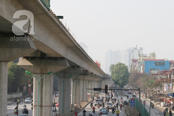 Chặt hết cây cổ thụ, nhiều người qua đường Nguyễn Trãi - Trần Phú tưởng bị lạc 1