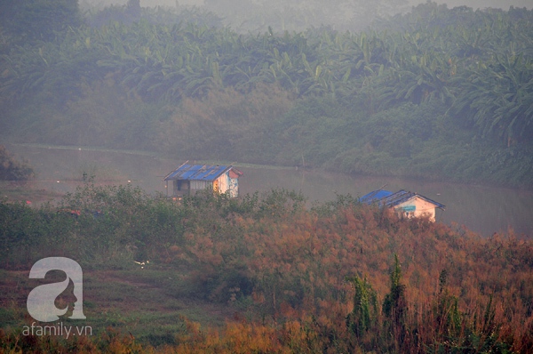 sương mù hà nội