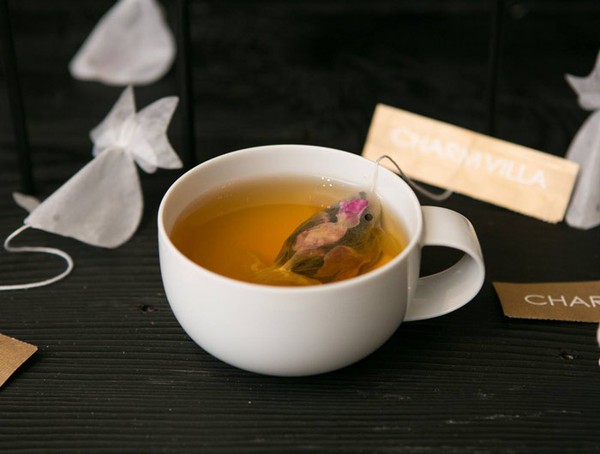 Trà túi lọc cực "độc" biến cốc trà của bạn thành … bể cá 4