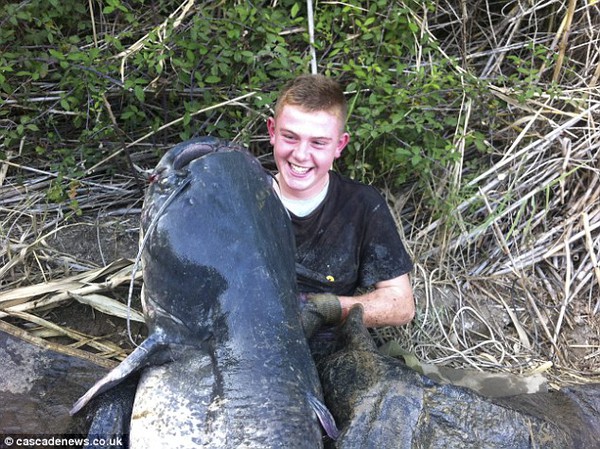 Cậu bé 14 tuổi câu được con cá da trơn khổng lồ nặng gần 100 kg 2
