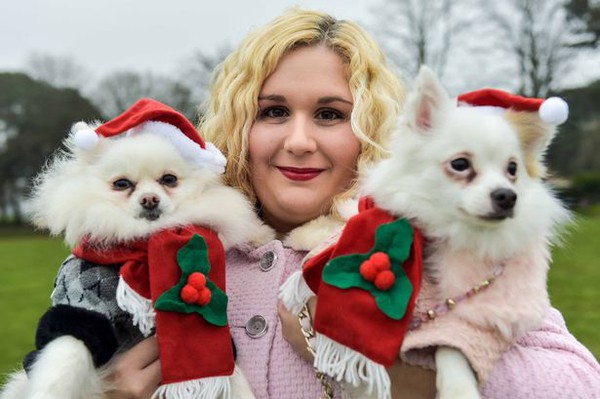 Cô gái dành 70 triệu mua quà Giáng sinh cho chó 3