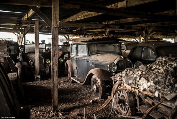 60 chiếc xe cổ bị bỏ hoang có giá lên đến 400 tỷ đồng. 5