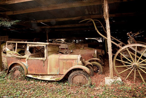 60 chiếc xe cổ bị bỏ hoang có giá lên đến 400 tỷ đồng. 7