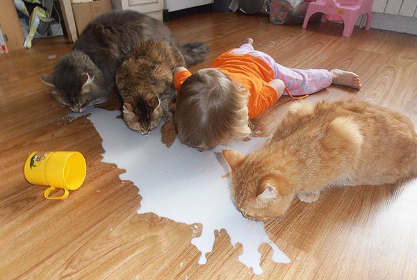Chùm ảnh bé bắt chước động tác của thú cưng siêu đáng yêu 1 Chùm ảnh bé bắt chước động tác của thú cưng siêu đáng yêu 1