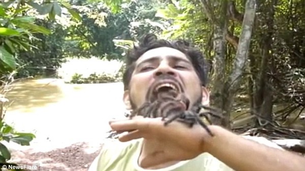 Rùng mình chàng trai cho ba con nhện đen độc cỡ bự vào mồm 3