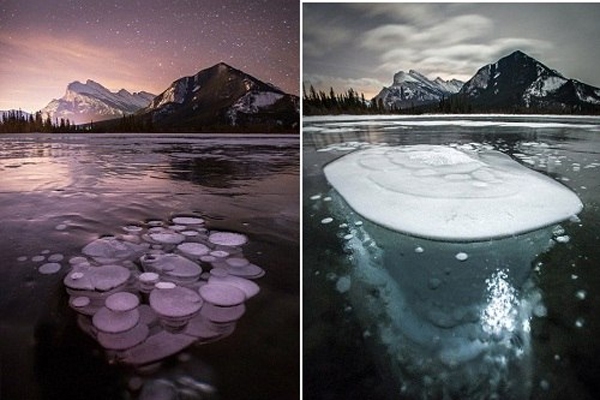 Hiện tượng lạ: Đàn "sứa" băng ở Canada 3