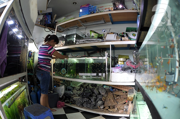 Các cửa hàng siêu nhỏ ở Hà Nội
