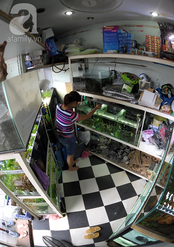 Các cửa hàng siêu nhỏ ở Hà Nội