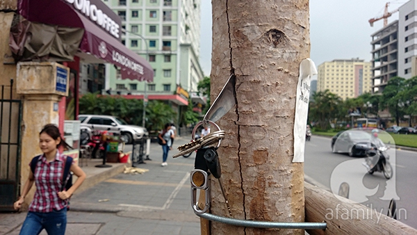 Một số người xe ôm ở trên đường Nguyễn Chí Thanh còn có thể nhét vừa cây đón gót vào khe nứt trên thân cây.