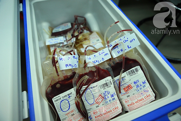 Zoom vào quy trình điều chế máu ở viện huyết học truyền máu trung ương