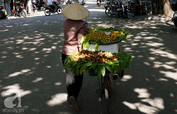 Những vệt nắng bình yên ngày hạ