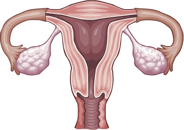 5 điều chị em nên biết về ung thư buồng trứng 1