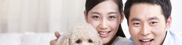 M&eacute;o mặt v&igrave; người y&ecirc;u đeo b&aacute;m như sam 2