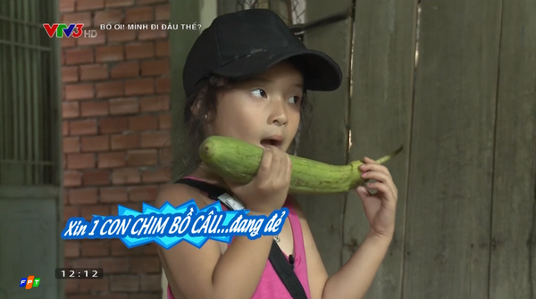 bo-oi-minh-di-dau-the544