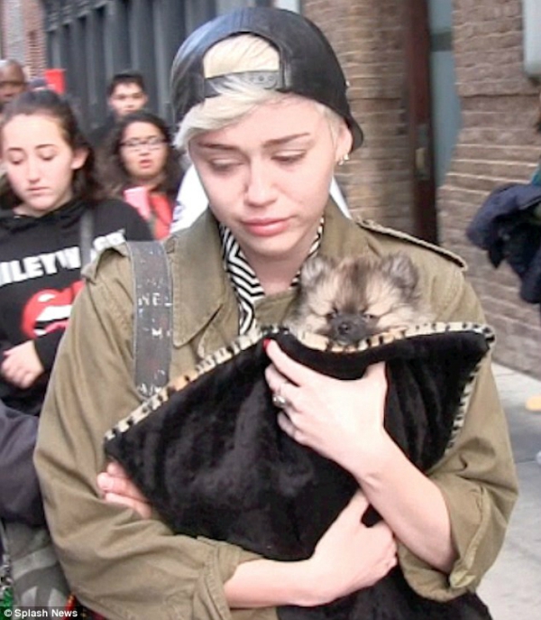 Miley Cyrus's health is getting worse and there is a high risk of stroke 2