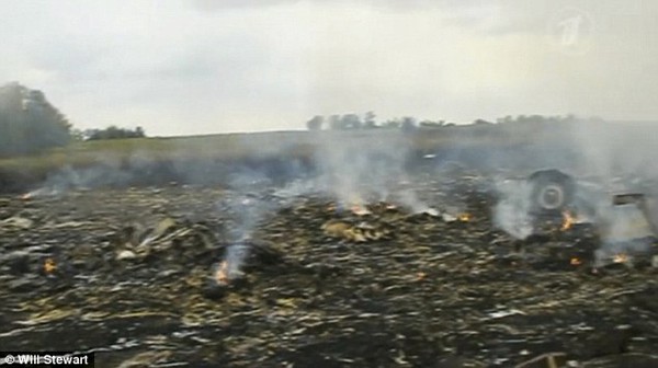 Những bức ảnh chưa từng công bố trong vụ máy bay MH17 bị bắn rơi 2