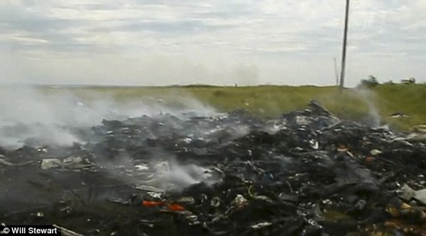 Những bức ảnh chưa từng công bố trong vụ máy bay MH17 bị bắn rơi 3