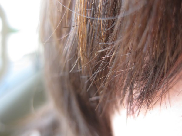 Dinh dưỡng ngăn ngừa tóc chẻ ngọn trả lại vẻ mượt mà cho mái tóc