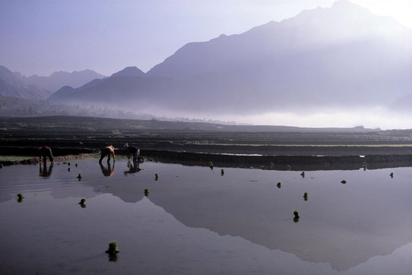 nhung-buc-anh-goi-nho-que-huong-den-nao-long.jpg