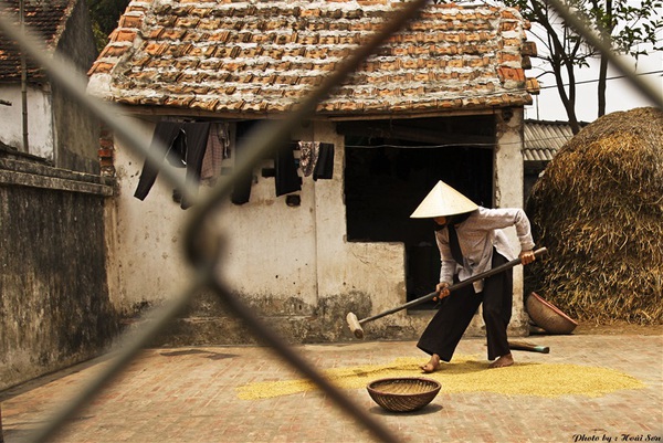 nhung-buc-anh-goi-nho-que-huong-den-nao-long.jpg