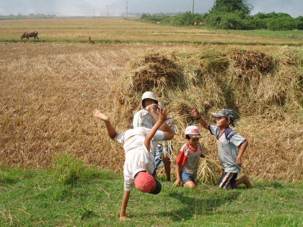 Chùm ảnh ý nghĩa về hành trình hạt gạo 20