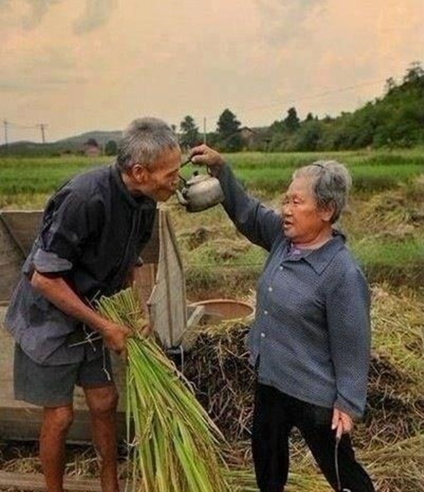 Chùm ảnh ý nghĩa về hành trình hạt gạo 8 Chùm ảnh ý nghĩa về hành trình hạt gạo 8