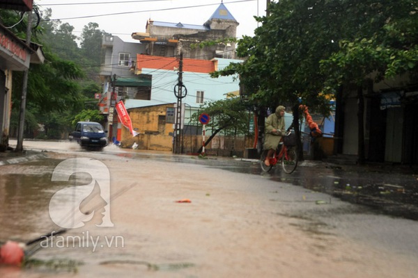 Cắt điện trên diện rộng, cây to gãy đổ đè bẹp ô tô 22