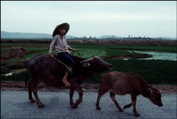 Việt Nam năm 1994 bình dị nhưng đầy bản sắc qua ống kính nhiếp ảnh gia Pháp 22