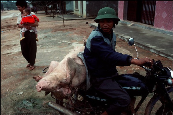 Việt Nam năm 1994 bình dị nhưng đầy bản sắc qua ống kính nhiếp ảnh gia Pháp 24