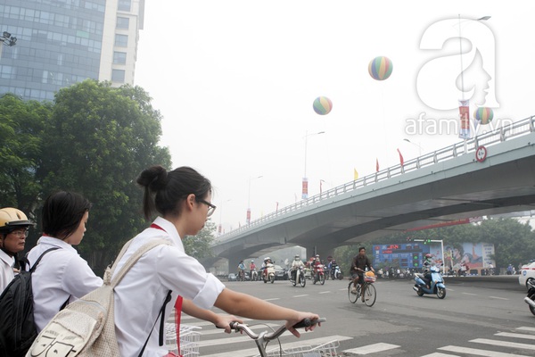 Thông xe cầu vượt dầm thép lớn nhất Việt Nam 15