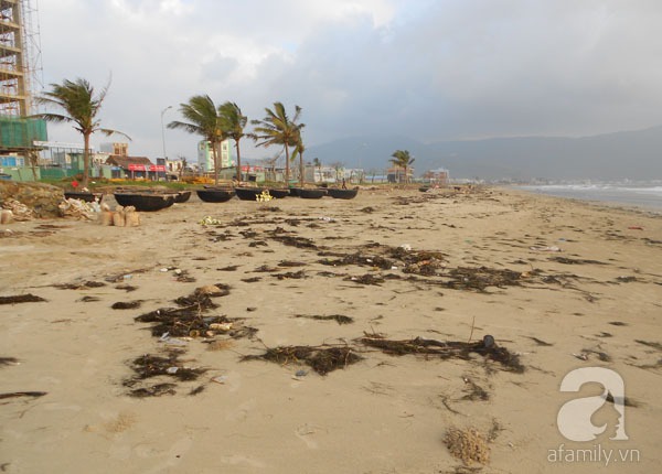 Bãi biển đẹp nhất thế giới ở Đà Nẵng ngập chìm trong rác sau lũ 1