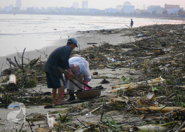 Bãi biển đẹp nhất thế giới ở Đà Nẵng ngập chìm trong rác sau lũ 6